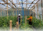 Mengapa Garitan Kalongliud Bisa Jadi Inspirasi Pertanian Sirkular yang Menguntungkan?