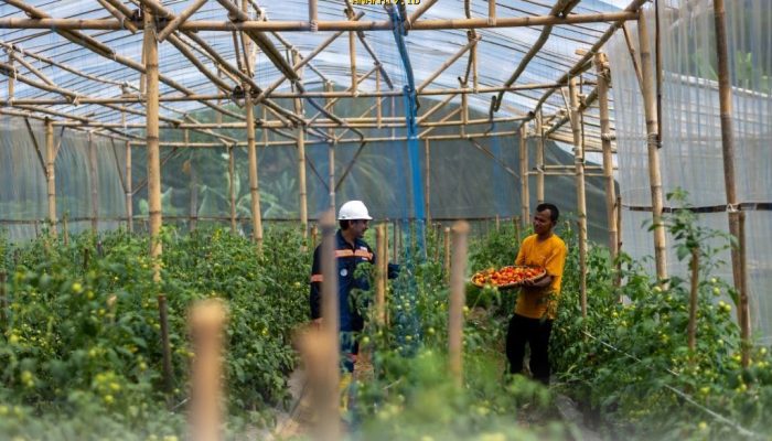 Mengapa Garitan Kalongliud Bisa Jadi Inspirasi Pertanian Sirkular yang Menguntungkan?