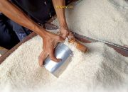 Potensi Ekspor Beras RI ke Arab Saudi Dinilai Sangat Menjanjikan oleh Bulog!