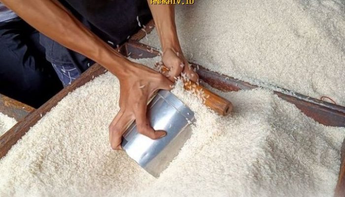 Potensi Ekspor Beras RI ke Arab Saudi Dinilai Sangat Menjanjikan oleh Bulog!