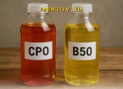 B50 Resmi Diterapkan Juli 2026, Airlangga Klaim Penghematan Subsidi Energi Capai Rp48 Triliun!