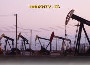 Blok Migas Baru Dibuka Pemerintah, Apakah Ada yang Tertarik Menggarapnya?