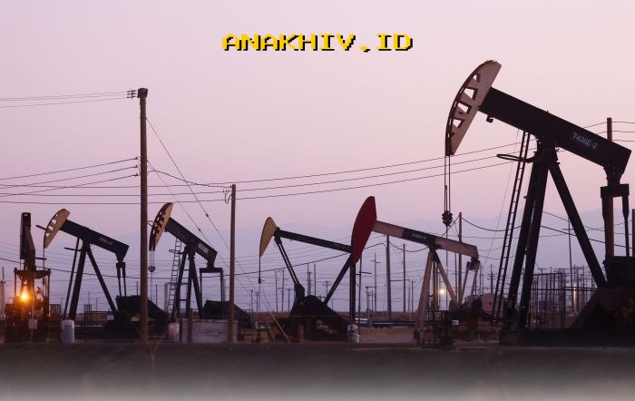 Blok Migas Baru Dibuka Pemerintah, Apakah Ada yang Tertarik Menggarapnya?