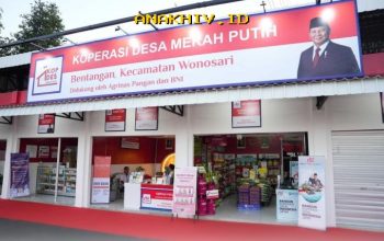 Desa Berkoperasi, UMKM Lokal Meroket!