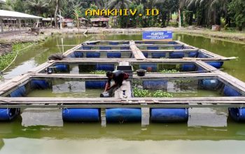 Desa Empang Baru Bangkit Berkat Pemberdayaan BRI yang Terus Menggeliat!