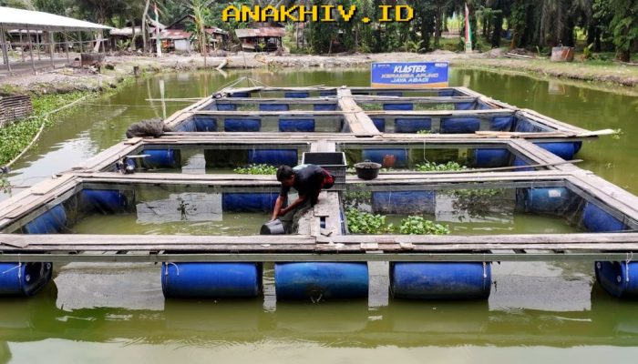 Desa Empang Baru Bangkit Berkat Pemberdayaan BRI yang Terus Menggeliat!