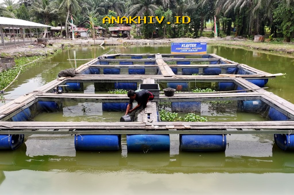 Desa Empang Baru Bangkit Berkat Pemberdayaan BRI yang Terus Menggeliat!