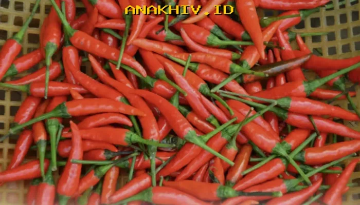 Harga Cabai Rawit Melonjak Tajam Jelang Lebaran, Tembus Rp74.750 per Kilogram!