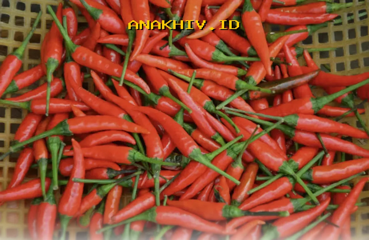 Harga Cabai Rawit Melonjak Tajam Jelang Lebaran, Tembus Rp74.750 per Kilogram!