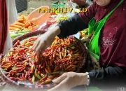 Harga Cabai, Telur, Daging, dan Minyak Goreng Melonjak Tajam Hari Ini 16 Maret 2026!