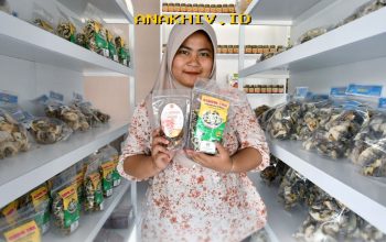 Inovasi UMKM Jadi Kunci Sukses Perluas Pasar!