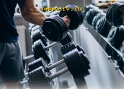 Mengapa Bisnis Suplemen Semakin Menguntungkan di Tengah Kesadaran Hidup Sehat yang Terus Naik?