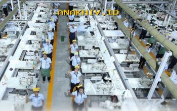 Mengapa Industri Padat Karya Harus Jadi Fokus Utama Pembangunan? Temukan Jawabannya!