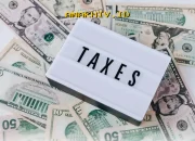 Pajak TER Terbongkar! Begini Cara Potongan Gaji Bulanan Bisa Mengurangi Penghasilan Anda dan Inilah Batasannya