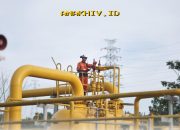 Pasokan Gas 111 MMSCFD dari WK Duyung Diamankan PLN EPI untuk Stabilitas Energi Nasional!