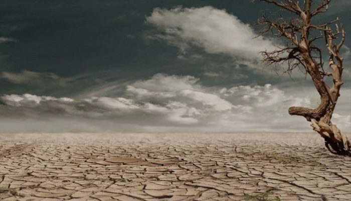 Pemerintah Waspadai Ancaman ‘Godzilla El Nino’ demi Stabilitas Produksi Padi Nasional!