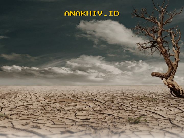 Pemerintah Waspadai Ancaman 'Godzilla El Nino' demi Stabilitas Produksi Padi Nasional!