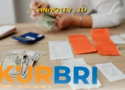 Pinjaman Modal Usaha KUR BRI 2026 Mencapai Rp500 Juta, Begini Cara Cicilannya yang Ringan Banget!