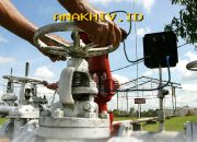 Potensi Minyak 15,6 Juta Barel di Riau! EMP Ungkap Temuan Baru yang Mengejutkan