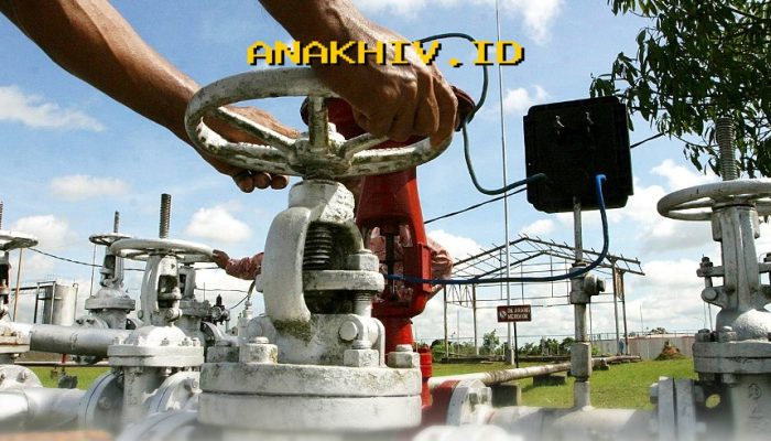 Potensi Minyak 15,6 Juta Barel di Riau! EMP Ungkap Temuan Baru yang Mengejutkan