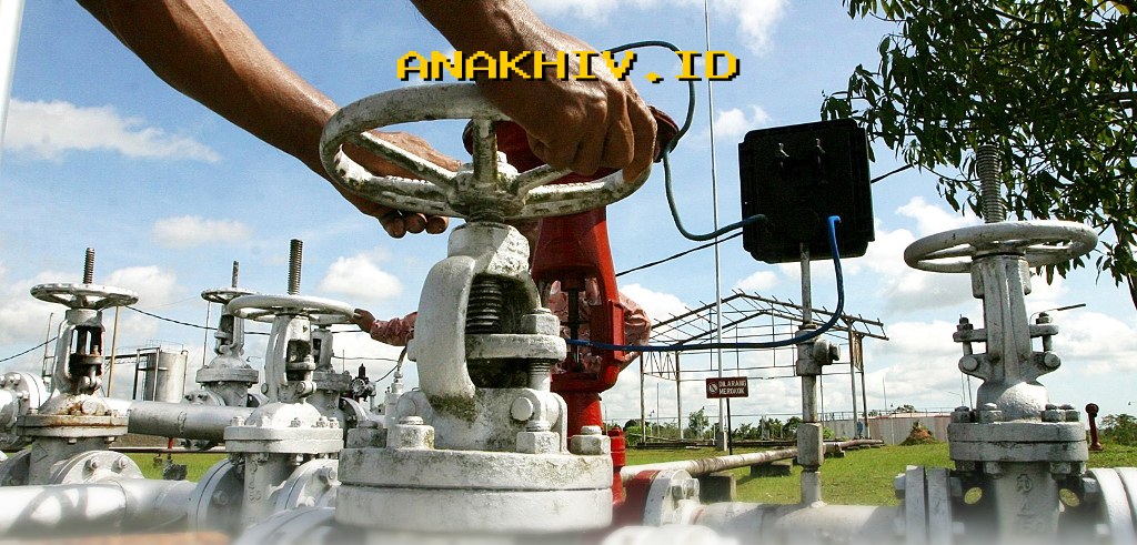 Potensi Minyak 15,6 Juta Barel di Riau! EMP Ungkap Temuan Baru yang Mengejutkan