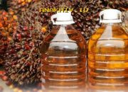 Produk Olahan Sawit dan Nikel Jadi Penyelamat Ekspor Indonesia yang Menjanjikan!