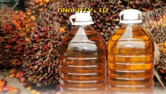 Produk Olahan Sawit dan Nikel Jadi Penyelamat Ekspor Indonesia yang Menjanjikan!