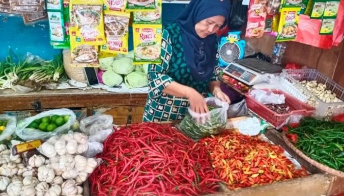 Stabilitas Harga Sembako Idulfitri 2026 Tetap Terjaga Berkat Langkah Pemerintah!