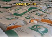 Stok Pangan Nasional Aman Hingga 324 Hari, Produksi Beras Capai 5,7 Juta Ton per Bulan!