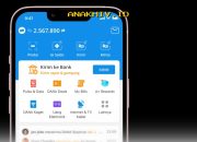 Cara Mudah Dapatkan Pinjaman Uang dengan DANA Cicil!