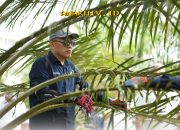 Strategi Jitu PTPN IV PalmCo Lawan Karhutla dan Antisipasi Kemarau Panjang dengan Deteksi Dini yang Akurat!