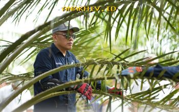 Strategi Jitu PTPN IV PalmCo Lawan Karhutla dan Antisipasi Kemarau Panjang dengan Deteksi Dini yang Akurat!