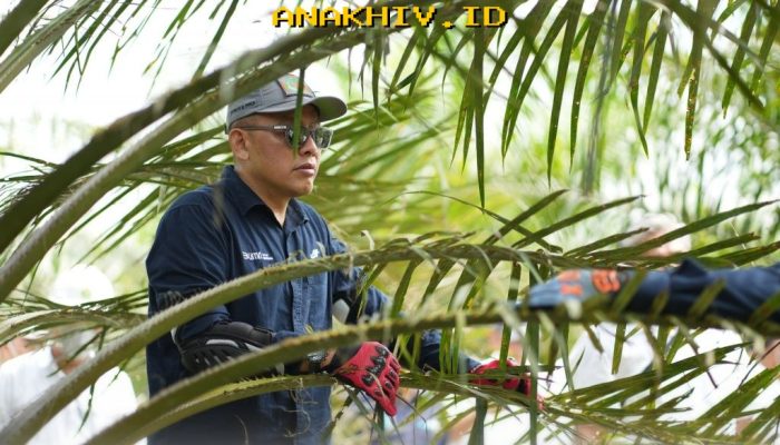 Strategi Jitu PTPN IV PalmCo Lawan Karhutla dan Antisipasi Kemarau Panjang dengan Deteksi Dini yang Akurat!