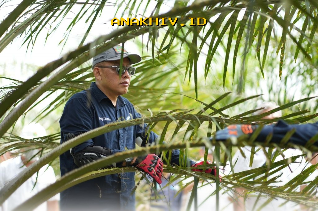 Strategi Jitu PTPN IV PalmCo Lawan Karhutla dan Antisipasi Kemarau Panjang dengan Deteksi Dini yang Akurat!