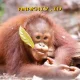 BNI Rayakan Hari Spesies Terancam Punah 2026 dengan Aksi Nyata Pelestarian Satwa Langka!