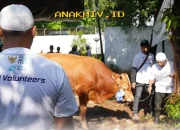 BNI Salurkan 1.200 Hewan Kurban ke Seluruh Nusantara, Ini Daerah yang Mendapat Jatahan Terbanyak!