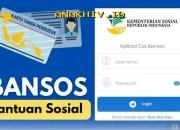 Panduan Lengkap Cek Bansos dan Desil DTSEN 2026 via HP dengan NIK KTP Anda!